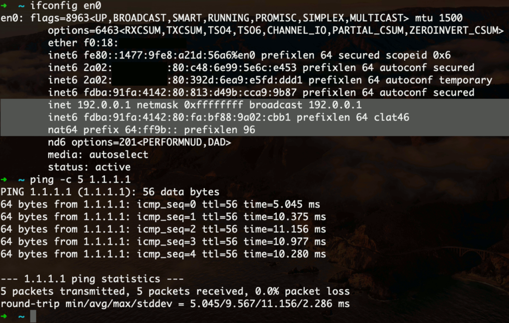 Рисунок 1 — CLAT активен при сетевом подключении только по протоколу IPv6.